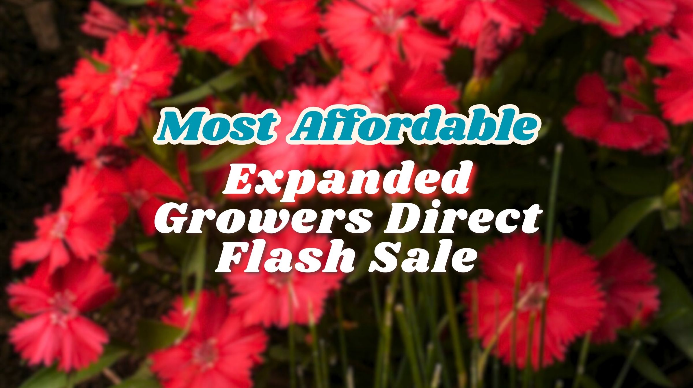 EXPANDED Growers Direct Flash Sale