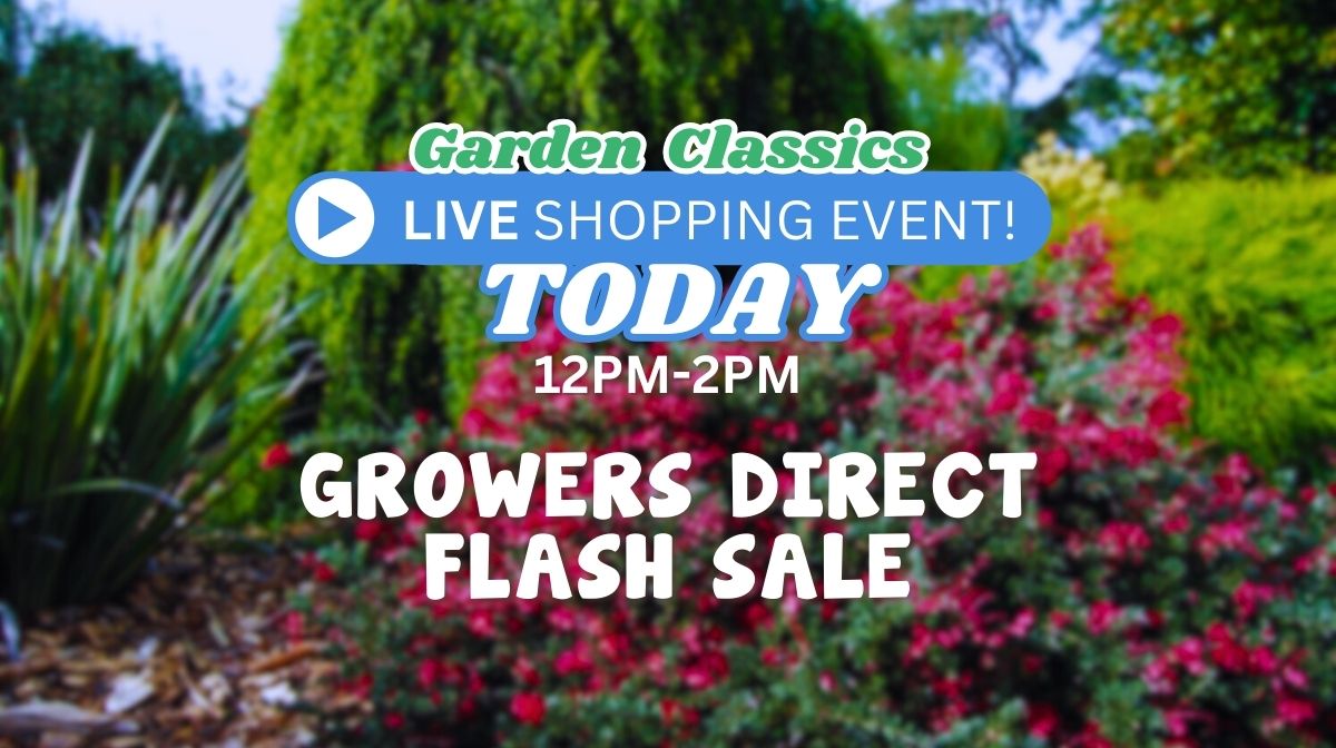 Feature image Promotional graphic for a Garden Classics live shopping event and flash sale, featuring exclusive sale Garden Classics offers today from 12 PM to 2 PM, set against a vibrant garden background.