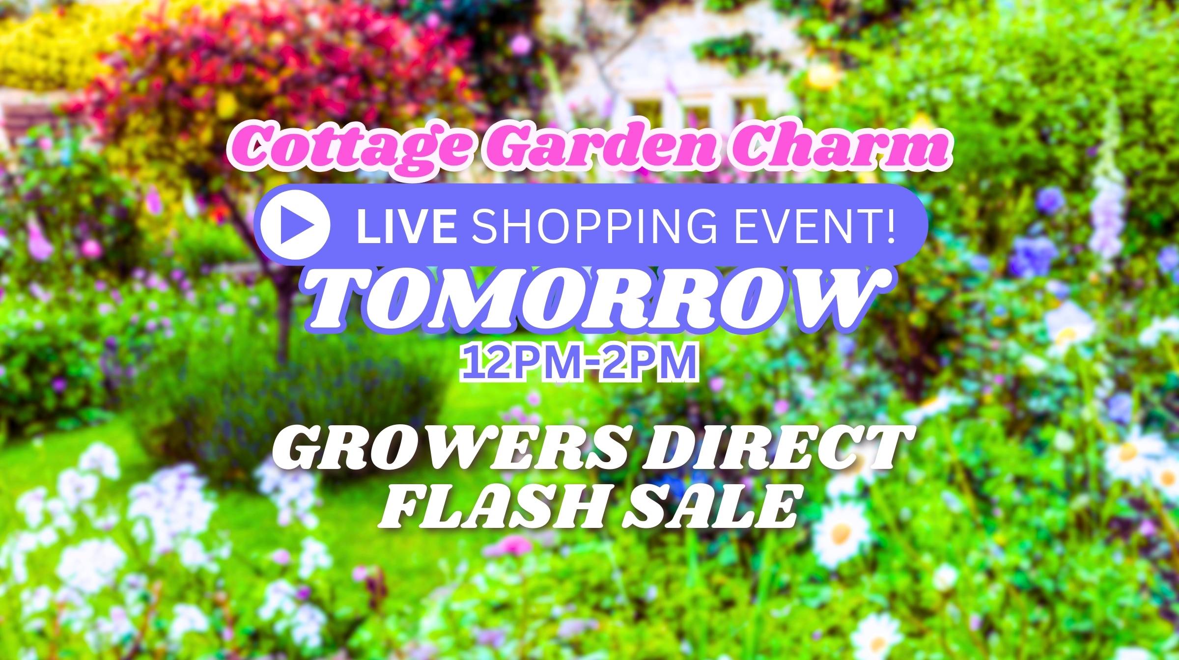 Live Shopping Event: Cottage Garden Charm