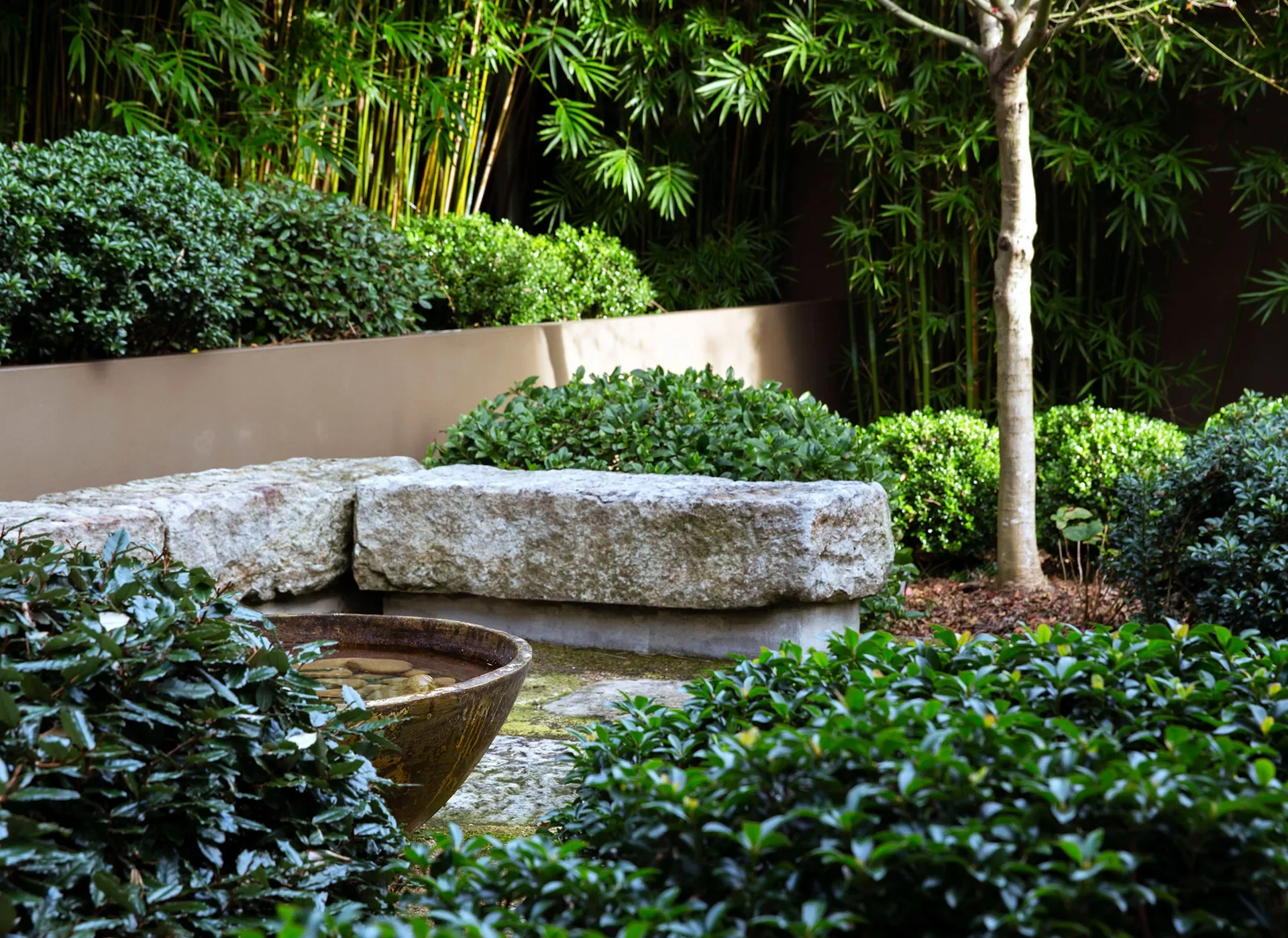 Bring Japan to Your Garden