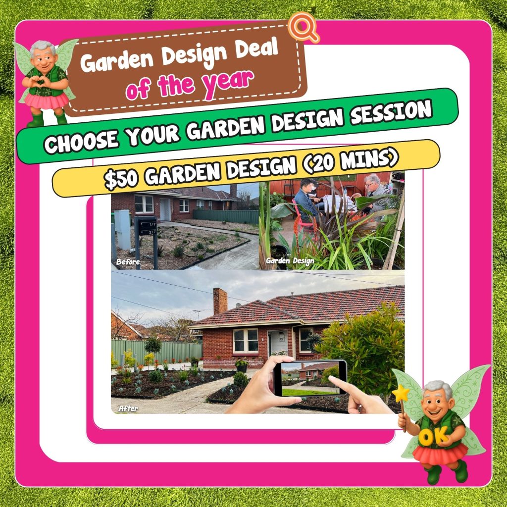Promotional graphic for a $50, 20-minute garden design session, featuring before and after photos of a front yard makeover with decorative fairy illustrations and festive Christmas trees.