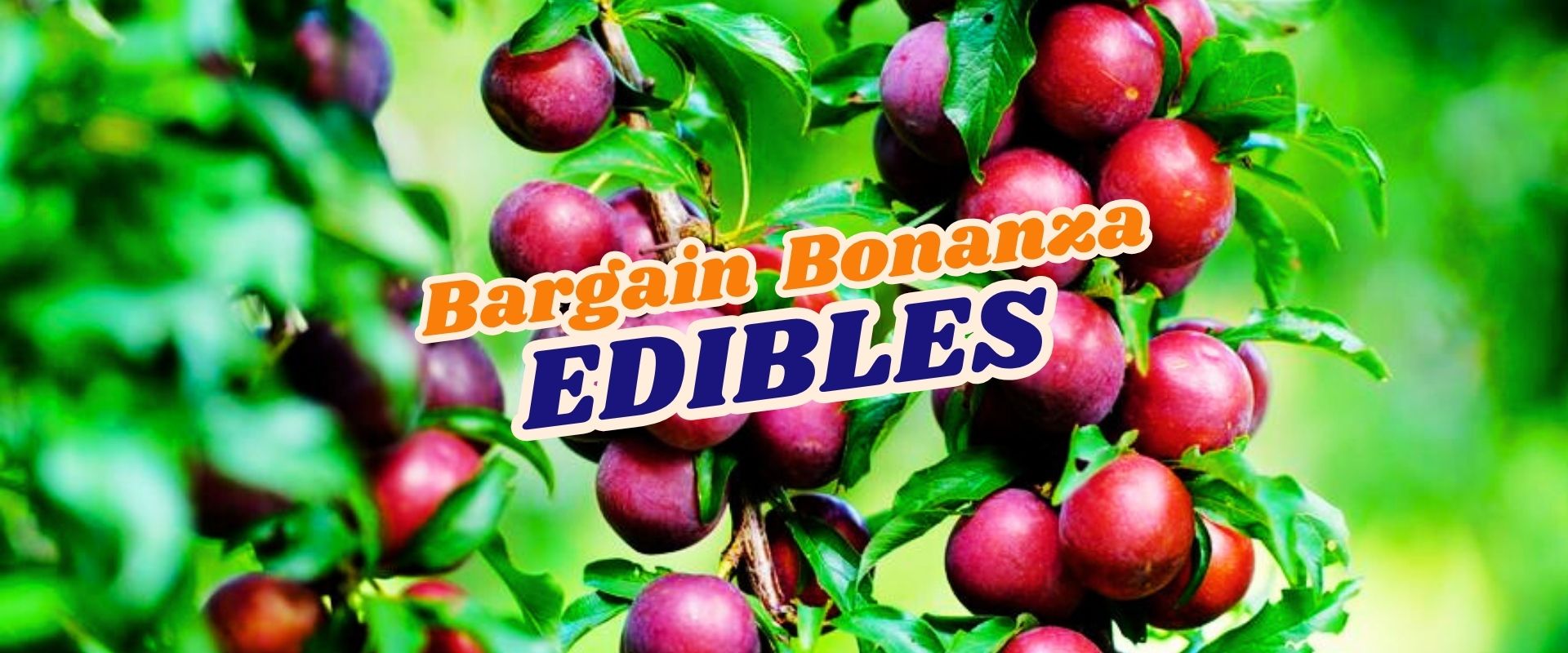 Branches with clusters of ripe, red-purple fruits and green leaves, overlaid with the text "Bargain Bonanza EDIBLES" and a vibrant "Flash Sale" banner in bold, colorful lettering.