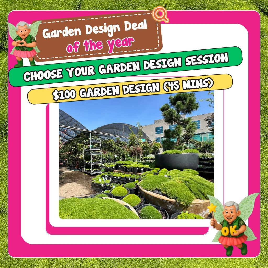 Promotional graphic for a garden design deal featuring a $100, 45-minute garden design session and a photo of a landscaped garden with plants, trees, and beautiful Christmas trees.