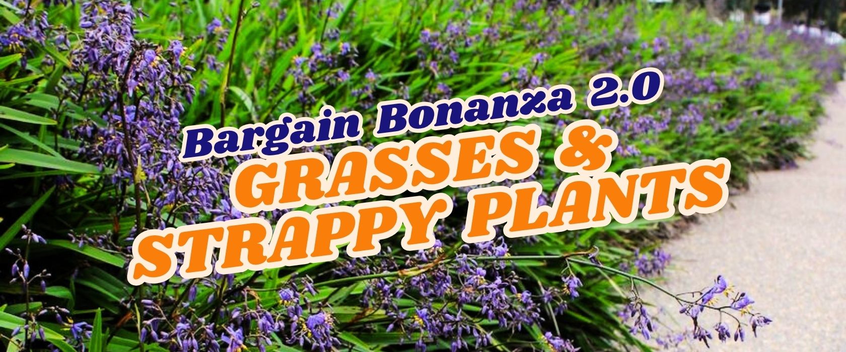 A garden path bordered by tall green grasses and purple flowering strappy plants, with eye-catching promotional text overlay announcing a Flash Sale.