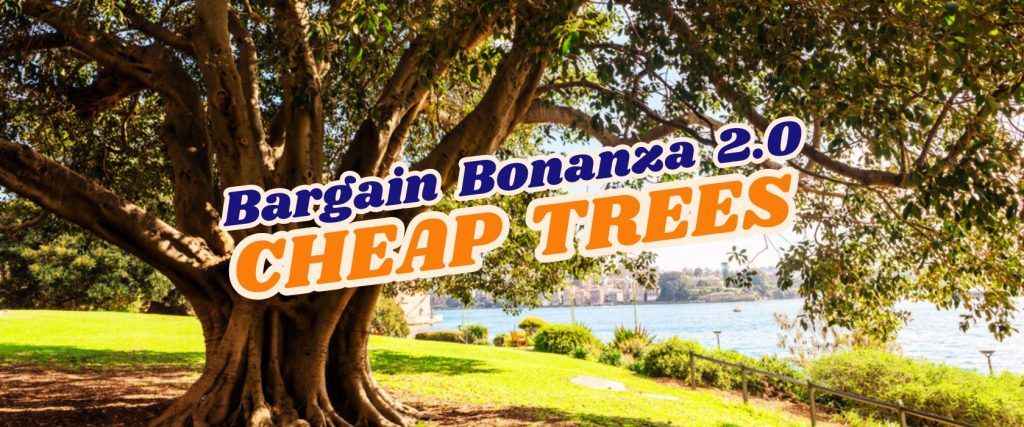 Large tree in a sunny park near water with overlaid text: "Bargain Bonanza 2.0 FLASH SALE—CHEAP TREES.