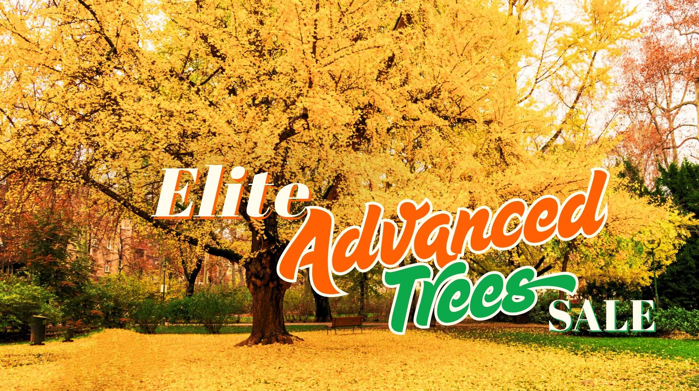 Elite Advanced Tree Sale