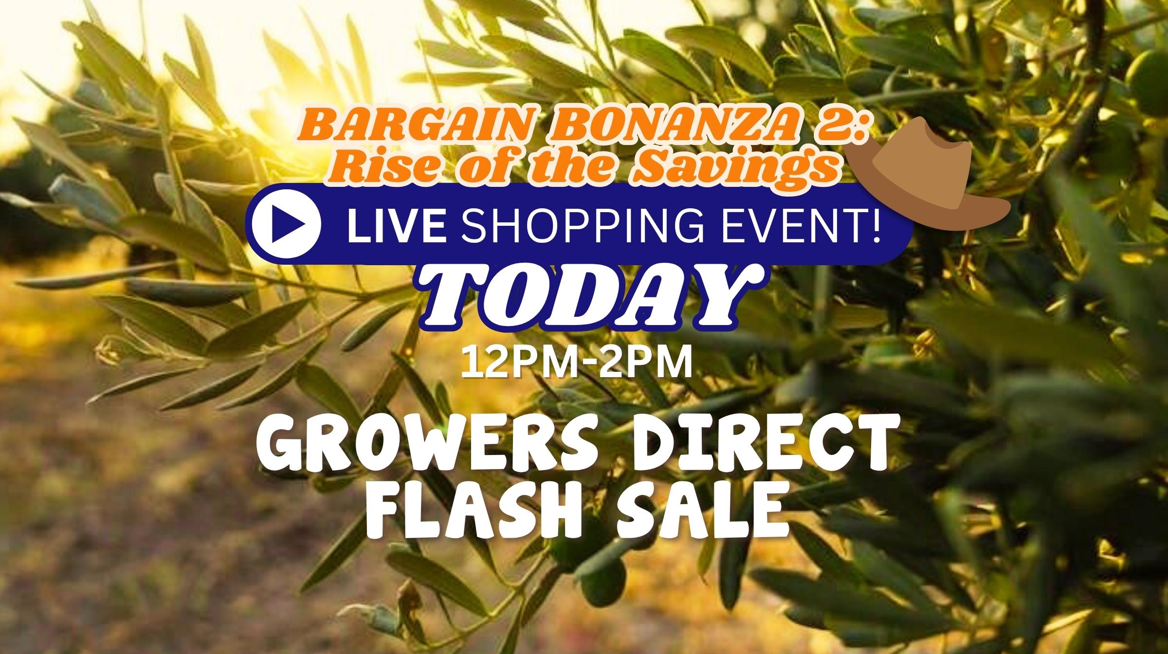 Flash Sale: Bargain Bonanza 2.0—Rise of the Savings