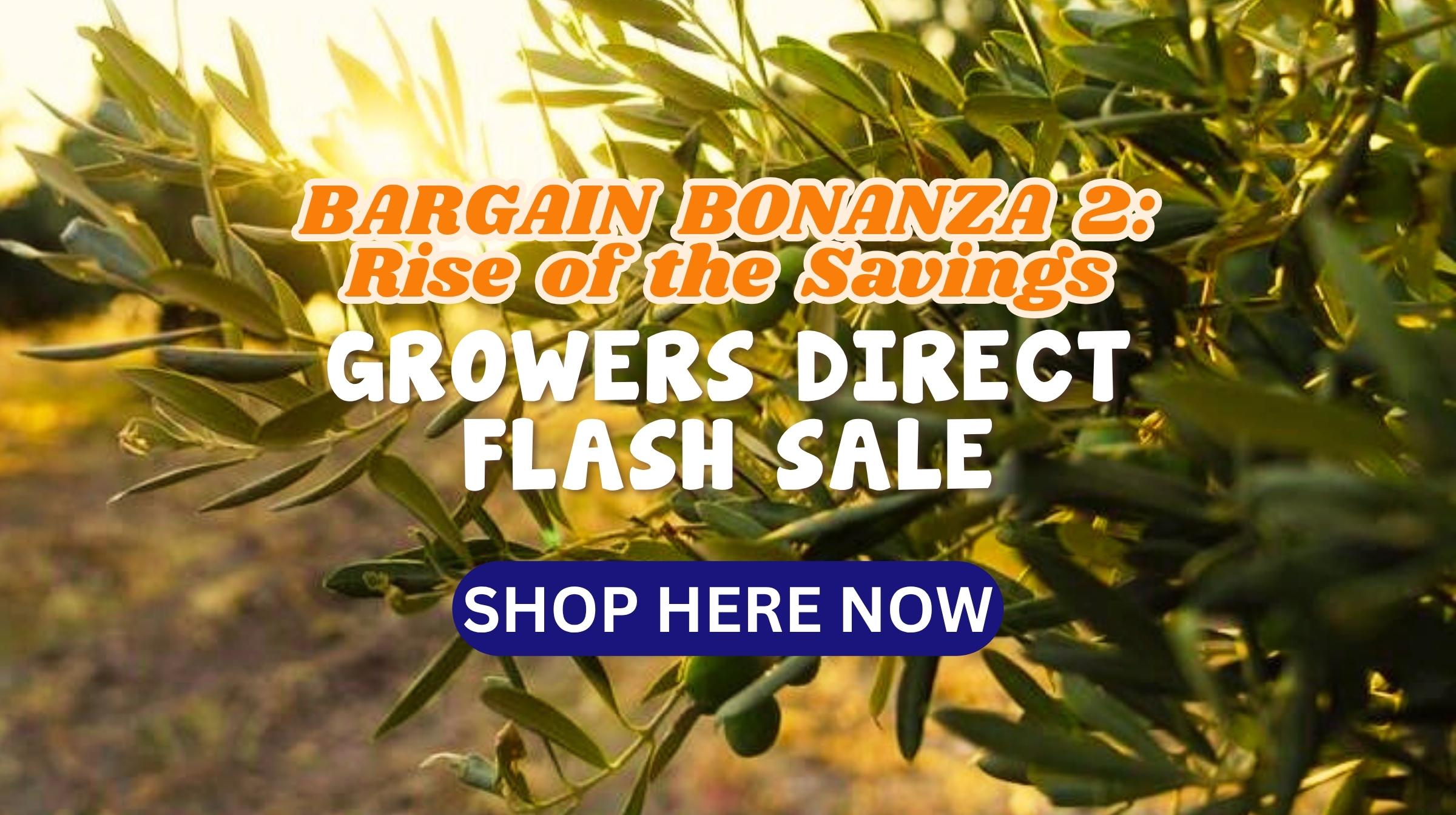 Feature image Olive branches with sunlight in the background and bold promotional text: "Bargain Bonanza 2: Rise of the Savings. Flash Sale at Growers Direct. Shop Here Now.