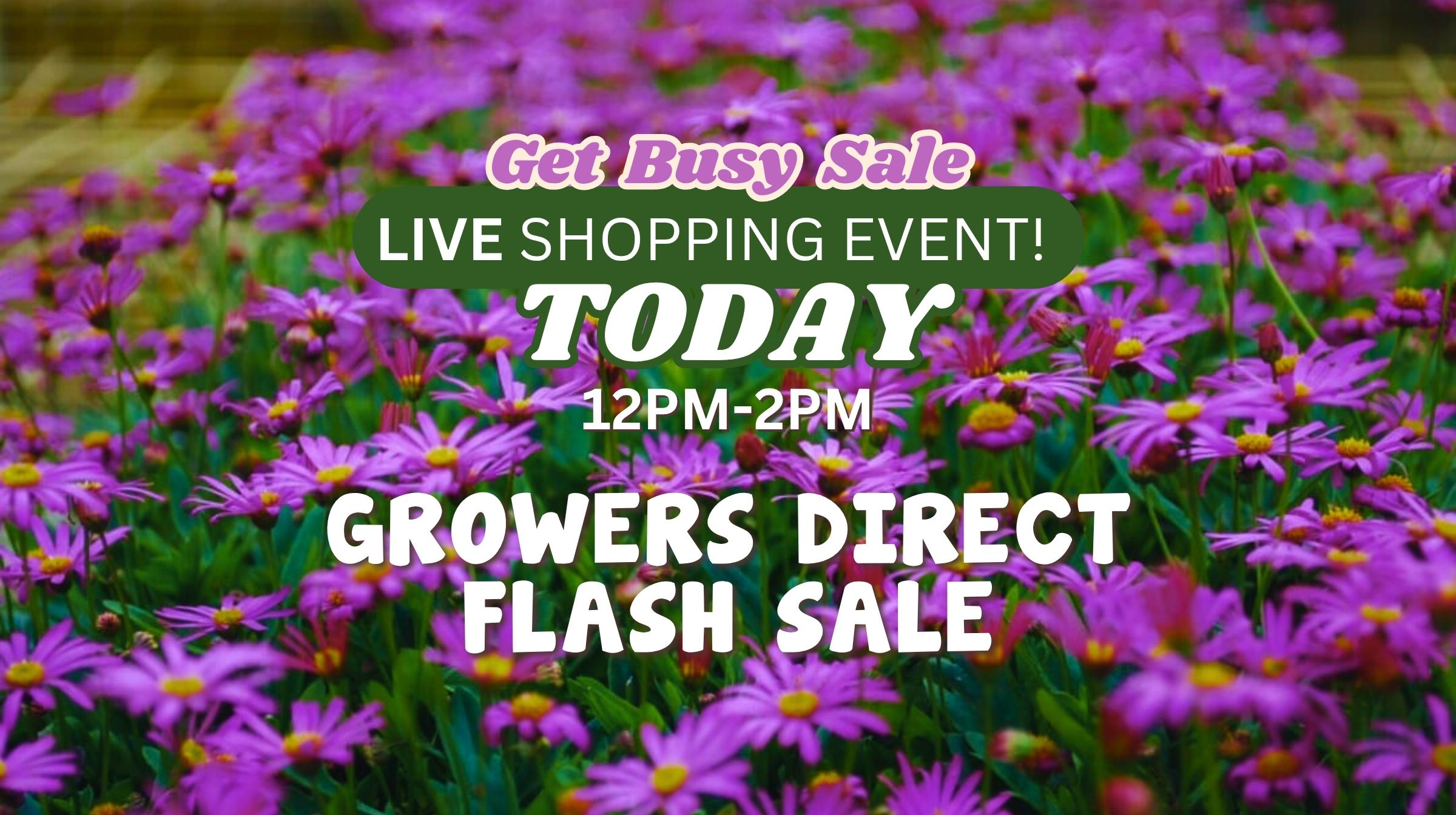 Get Busy Flash Sale