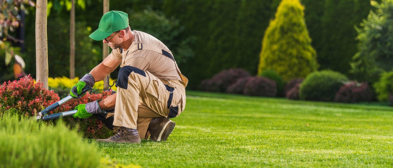 Get the Right Plants on Site Cheaply, Easily and On Time