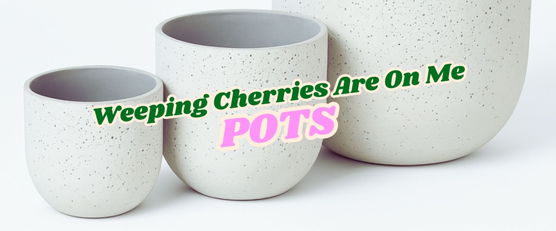 Three speckled white plant pots of varying sizes with the text "Weeping Cherries Are On Me POTS" overlaid in green and pink letters—perfect for the Growers Direct Flash Sale.