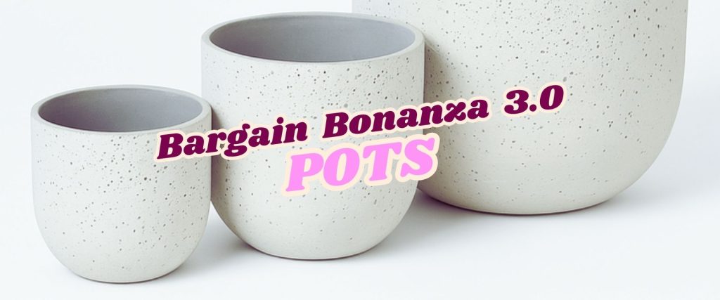 Three speckled white ceramic pots of varying sizes with the text "Bargain Bonanza 3.0 POTS" across the image—grab them now during our exclusive Flash Sale!.