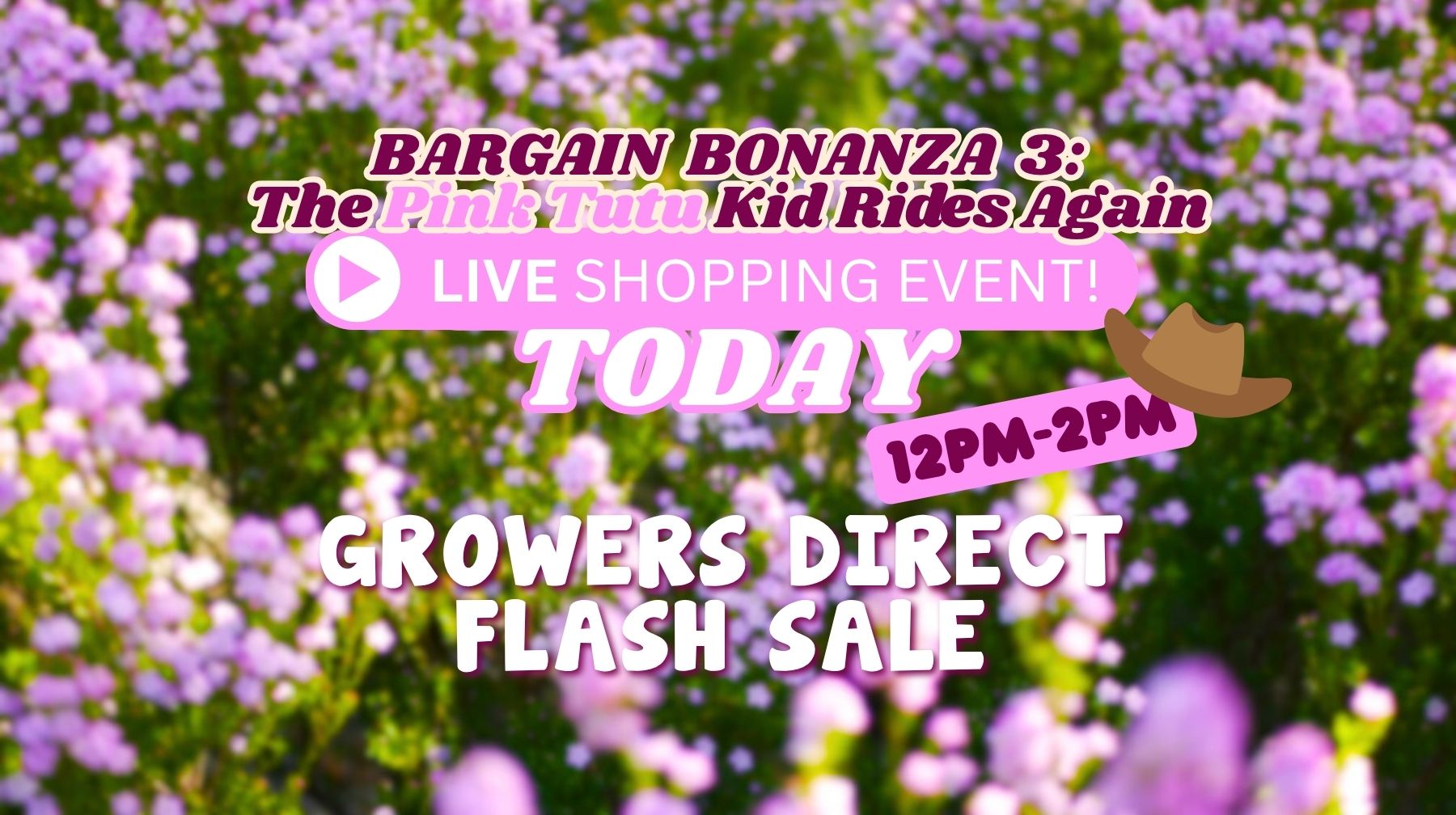 Bargain Bonanza 3: The Pink Tutu Kid Rides Again