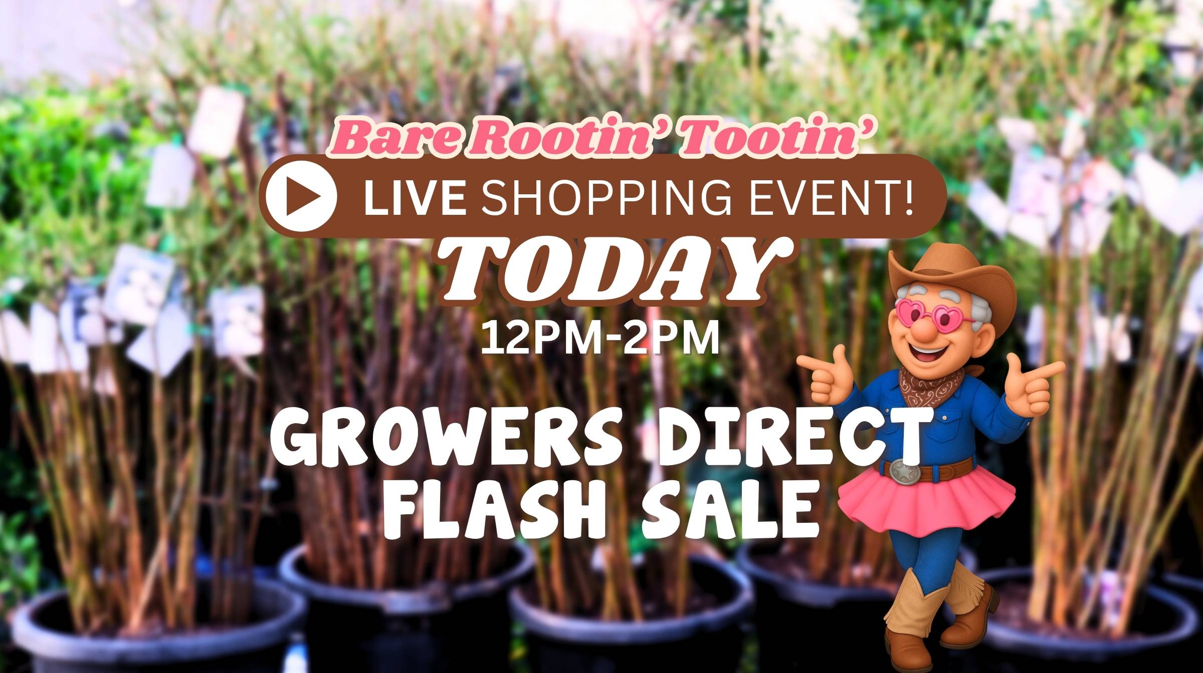 Our Bare Rootin’ Tootin’ Flash Sale