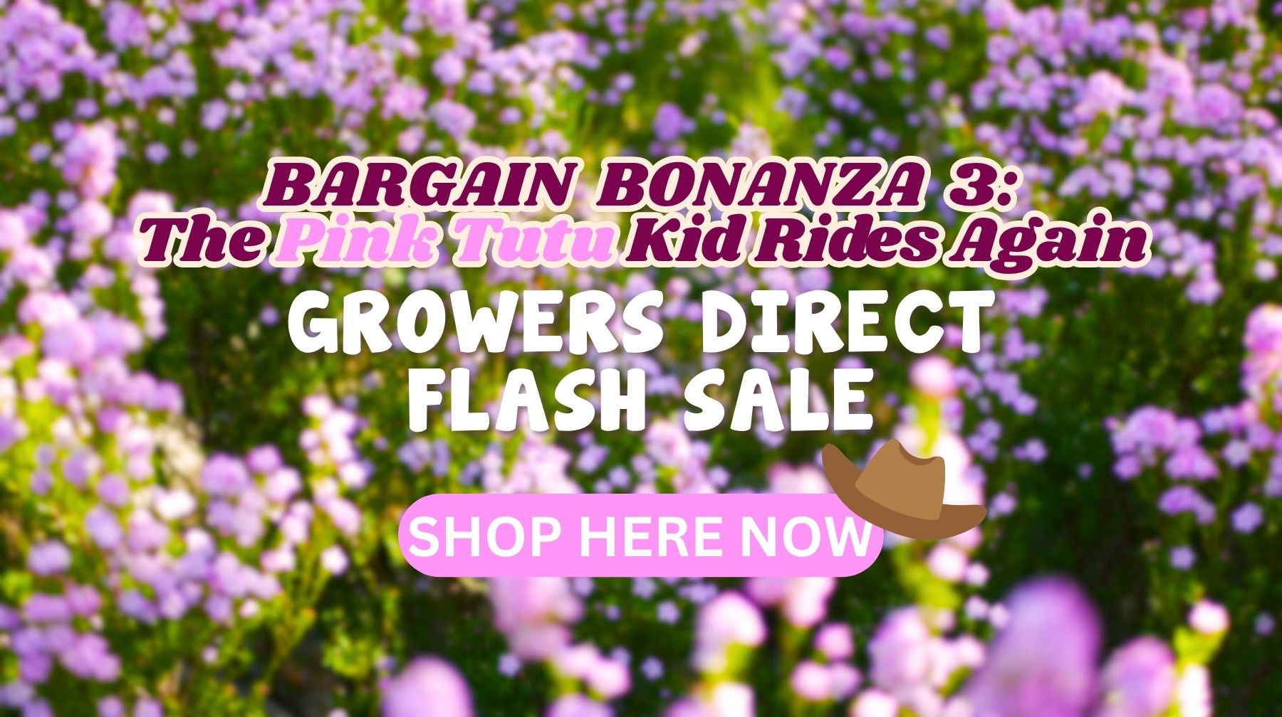 Feature image Text over a field of pink and purple flowers reads: "Bargain Bonanza 3: The Pink Tutu Kid Rides Again. Flash Sale at Growers Direct. Shop Here Now," with a cowboy hat emoji.