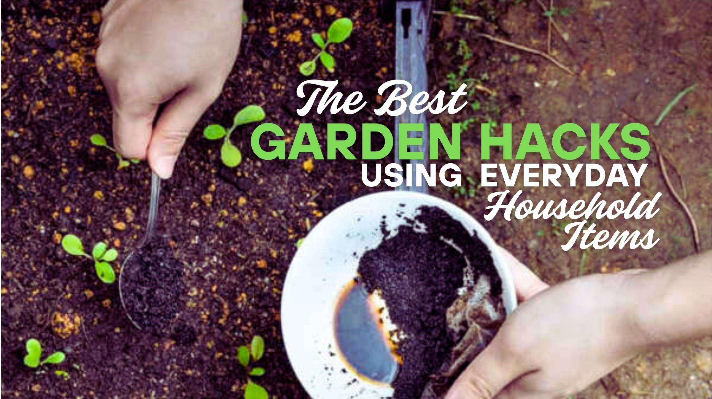 The Best Garden Hacks Using Everyday Household Items