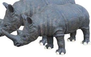 Two rhinoceroses standing side by side, facing left, with visible textured skin and prominent horns.