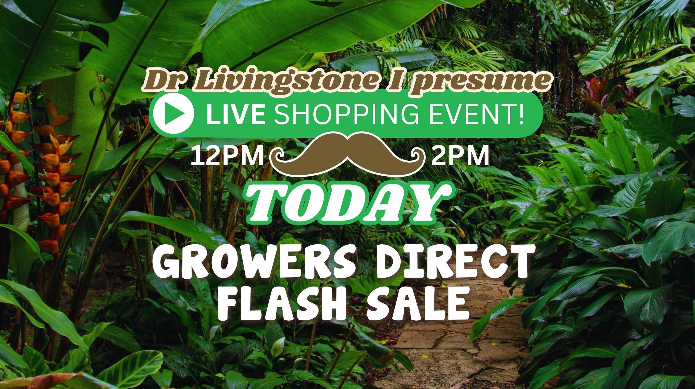 “Dr Livingstone I presume” Flash Sale