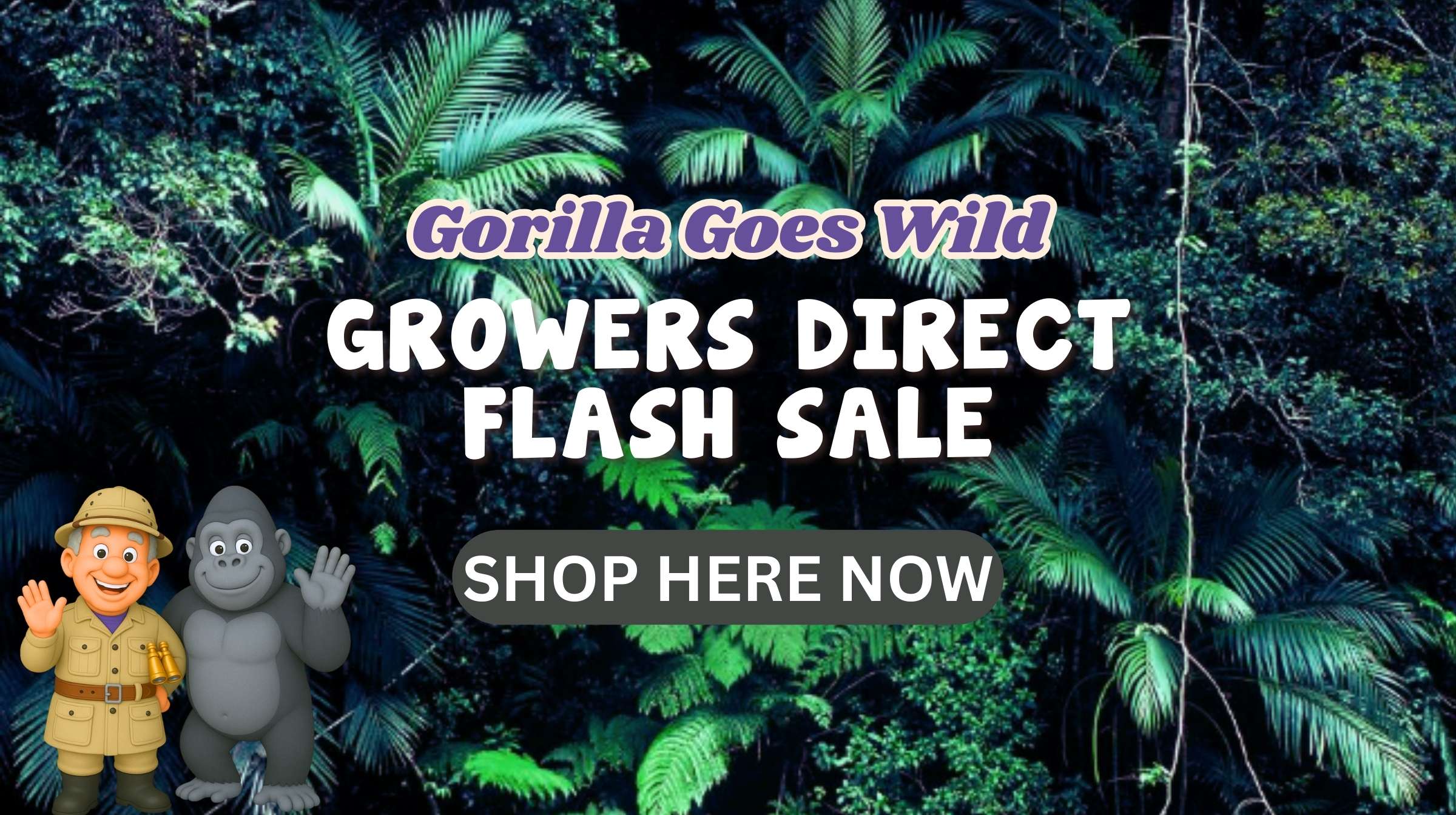 The Gorilla Goes Wild Flash Sale!