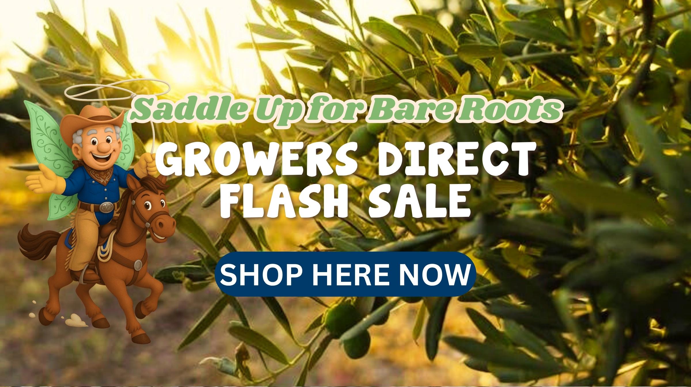 Saddle Up for our NEW Flash Sale