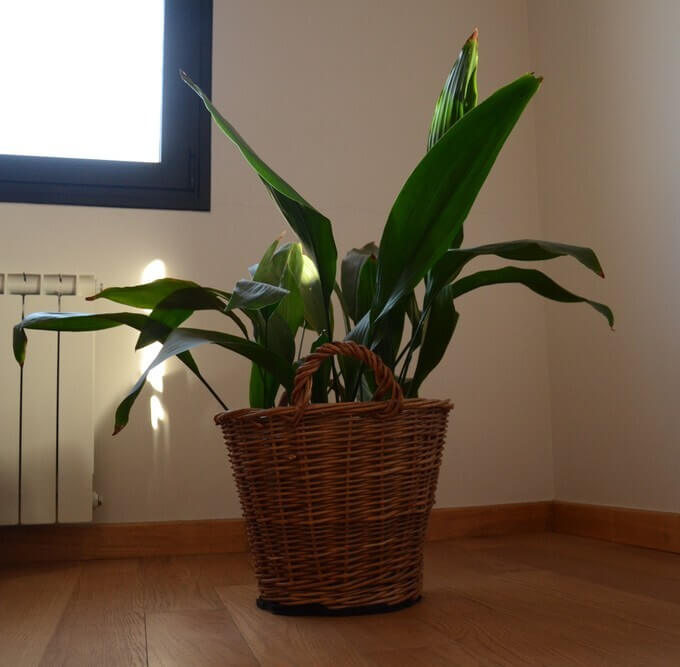 Low Light Indoors