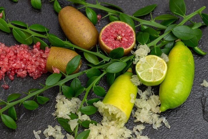Bush Tucker
