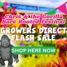 Banner for "Chris & the Gorilla Bare Rooted Festival" with cartoon characters, colourful bunting, and bold text highlighting a Flash Sale from growers direct, plus a “Shop Here Now” button.