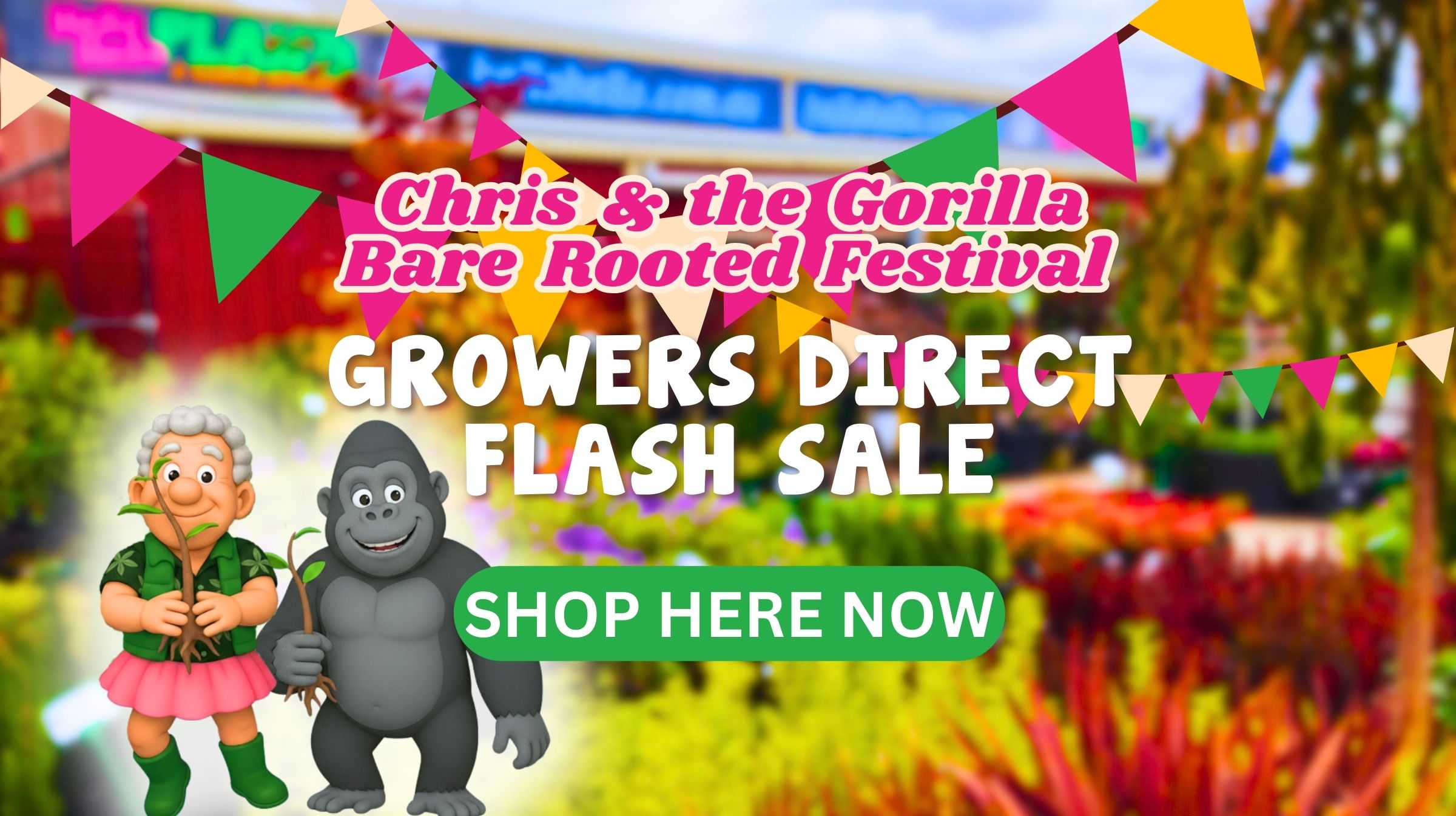Chris and the Gorilla Bare Rooted Festival