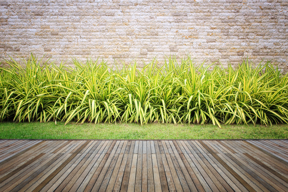 Strappy Borders & Edging