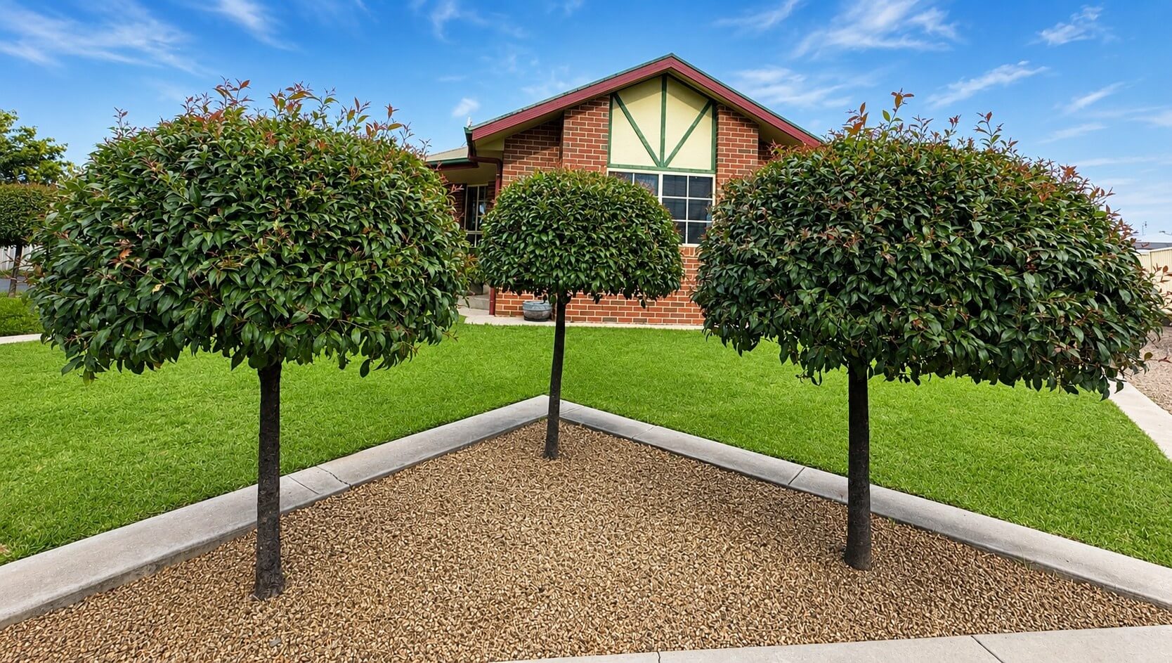 Three pruned trees with round canopies stand in a gravel bed in front of a brick house with a green lawn and a blue sky.