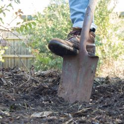 Hello Hello Plants Melbourne Victoria Australia Digging in the garden close up of foot and shovel