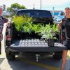 Three people stand by a pickup truck with its bed filled with potted plants in a parking lot on a sunny day, ready to Get the Right Plants for their garden.