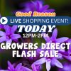Purple flowers in the background with text promoting a "Good Reason" Live Shopping Event: Indian Summers today from 12PM to 2PM, featuring a Growers Direct flash sale.