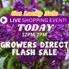 Purple lilac flowers showcase a "Get Lucky Sale" during today’s Live Shopping Event: Indian Summers. Join us from 12PM-2PM for a special Growers Direct flash sale!.