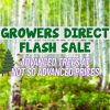 Text reads "Growers Direct Easter Flash Sale. Advanced trees at not so advanced prices." Background shows a birch tree forest with illustrated trees on the left.