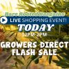 Flash Sale