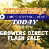Olive tree branches glow in the sunlight with overlaid text inviting you to a growers direct Flash Sale live shopping event, happening today from 12 PM to 2 PM.