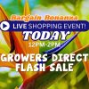 Colorful image with bird of paradise flowers as background. Text announces "Bargain Bonanza Live Shopping Event – Flash Sale Today 12PM-2PM. Don’t miss Growers Direct’s exclusive deals!.