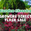 Text over a blurred image of a garden reads: "Sale on Garden Classics—Growers Direct Flash Sale.