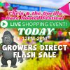Promotional poster for "Chris & the Gorilla Bare Rooted Festival" at the Plant Nursery, featuring a live shopping event today from 12pm-2pm, plus a growers' direct flash sale.