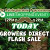 Flash Sale