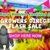 Flash Sale