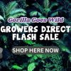 Flash Sale