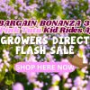Text over a field of pink and purple flowers reads: "Bargain Bonanza 3: The Pink Tutu Kid Rides Again. Flash Sale at Growers Direct. Shop Here Now," with a cowboy hat emoji.