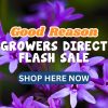 Purple flowers in the background with text overlay: "Good Reason Growers Flash Sale. Shop Here Now" on a blue button.