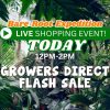 Flash Sale