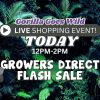 Flash Sale