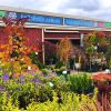 Outdoor garden center with various potted plants, shrubs, and small trees displayed in front of a red building with a Hello Hello Plaza sign—now hiring!.